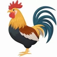 属鸡和什么属相最配 相克相冲，属鸡生肖性格磨合