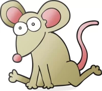 十二生肖每日运势查询：财运爱情精准解读