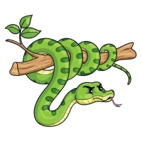 2025生肖运势查询方法及每月运程：运势指南