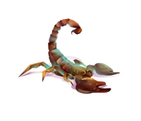 属猪天蝎男婚姻解析：性格与相处的深层秘密