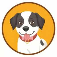 属狗人最佳配偶3个人：属狗人最佳配偶3个人1994年