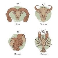 处女座2025年运势完整版：附7步转运指南