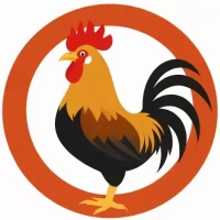 属鸡的年龄表2025，属鸡的年龄表2025年