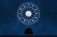 属猪的天蝎座（2025年贵人运解析）